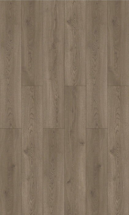 Urban Oak 12mm Laminate Flooring (LFOAK04)