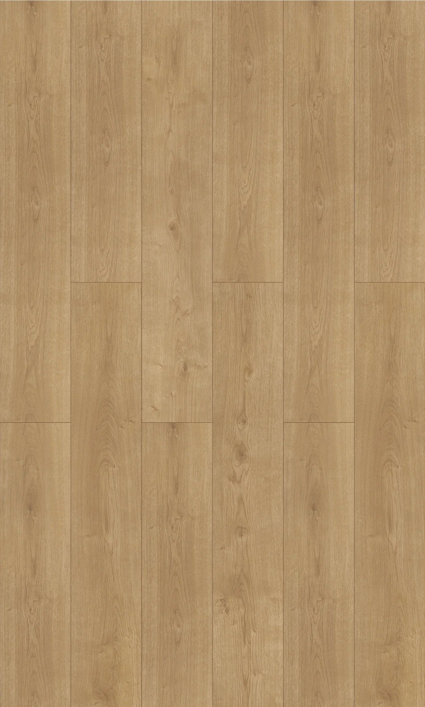 Birch Oak 12mm Laminate Flooring (LFI4)