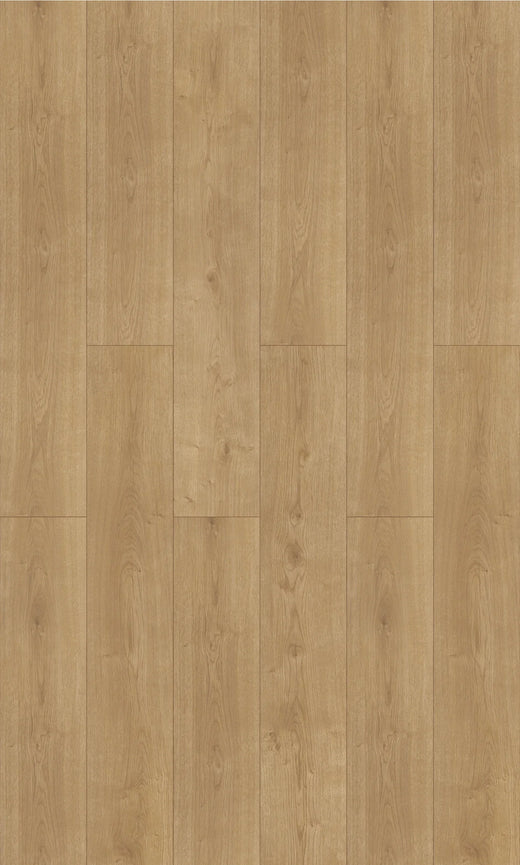 Birch Oak 12mm Laminate Flooring (LFI4)