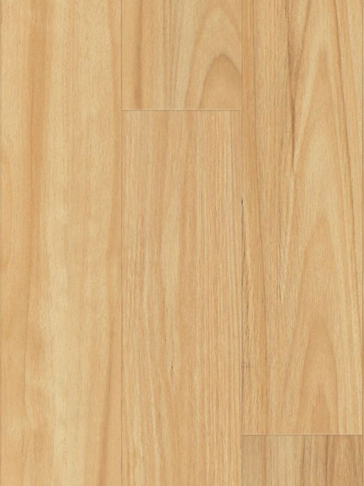 Iron Blackbutt 8mm Laminate Flooring (LH15) - National Floors