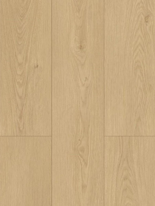 Nougat 8mm Laminate Flooring (LH19)