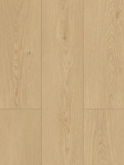 Nougat 8mm Laminate Flooring (LH19) - National Floors