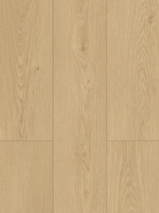 Nougat 8mm Laminate Flooring (LH19) - National Floors