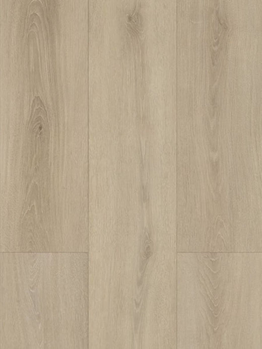 Haze 8mm Laminate Flooring (LH21)