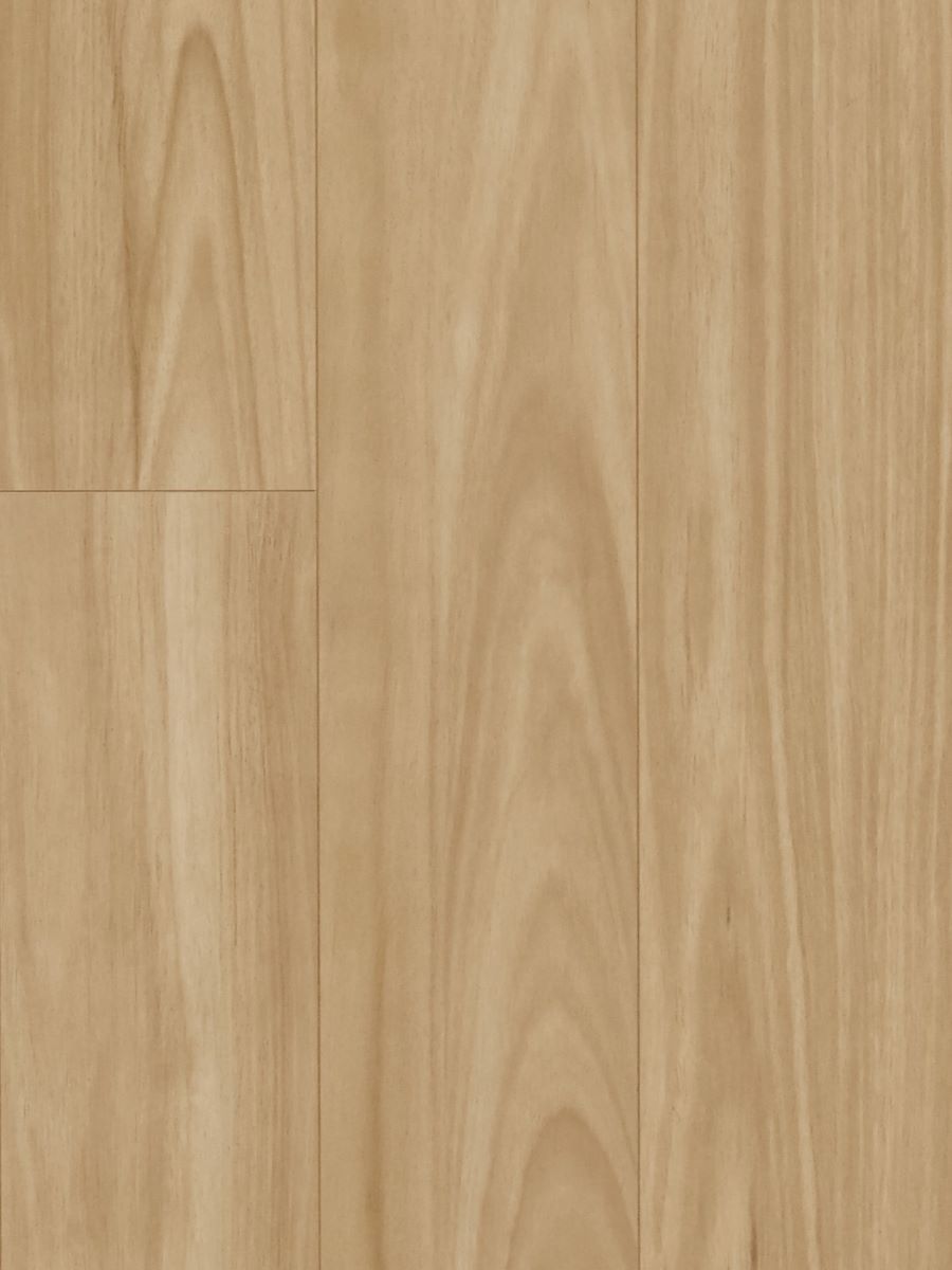 Iron Blackbutt 12mm Laminate Flooring (LH23)