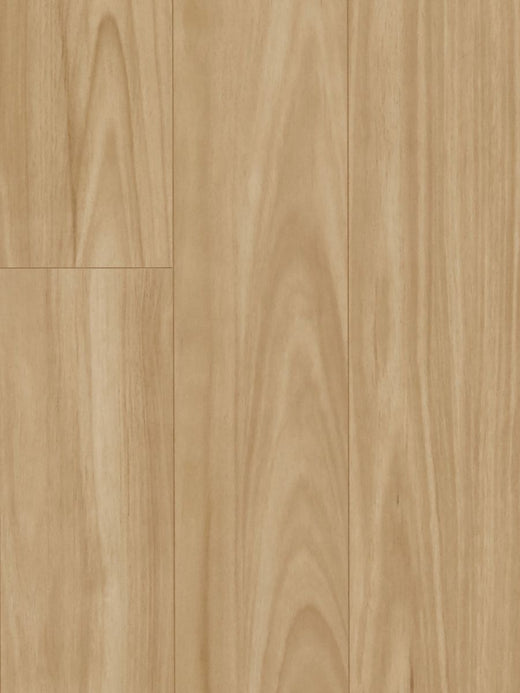 Iron Blackbutt 12mm Laminate Flooring (LH23)