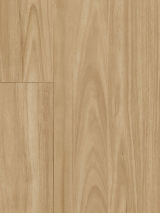 Iron Blackbutt 12mm Laminate Flooring (LH23) - National Floors