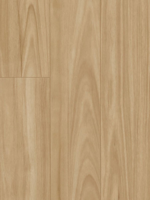 Iron Blackbutt 12mm Laminate Flooring (LH23) - National Floors