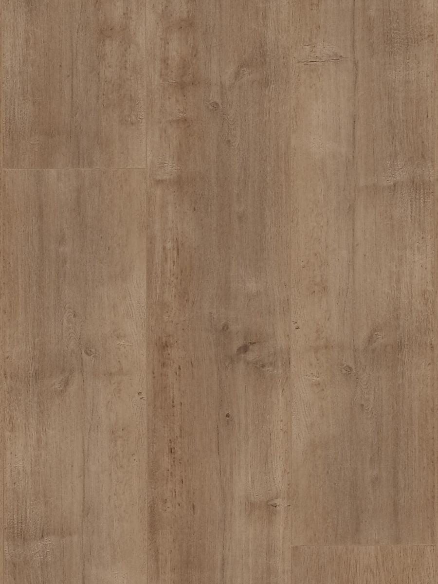 Shore 12mm Laminate Flooring (LH26)