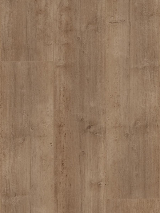 Shore 12mm Laminate Flooring (LH26)