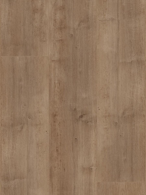 Shore 12mm Laminate Flooring (LH26) - National Floors