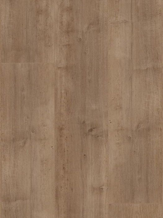 Shore 12mm Laminate Flooring (LH26) - National Floors