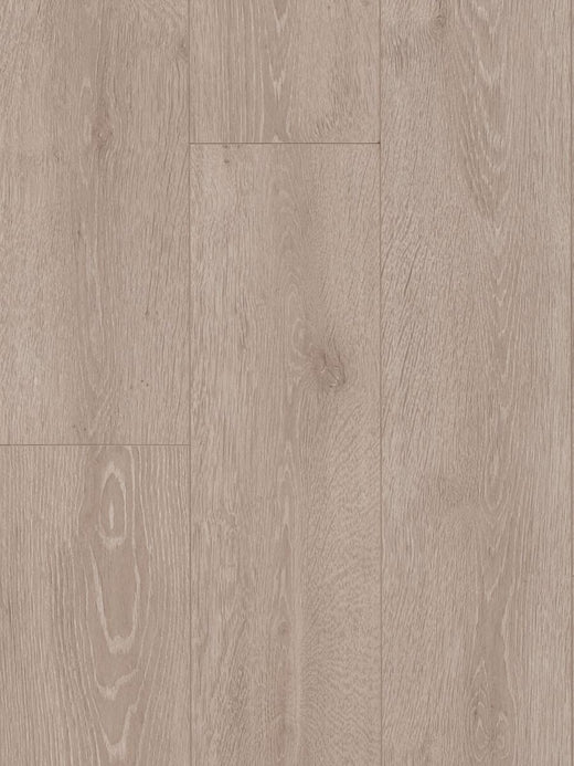 Ash Oak 12mm Laminate Flooring (LH31)