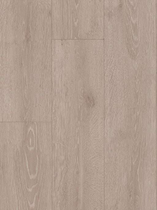 Ash Oak 12mm Laminate Flooring (LH31) - National Floors