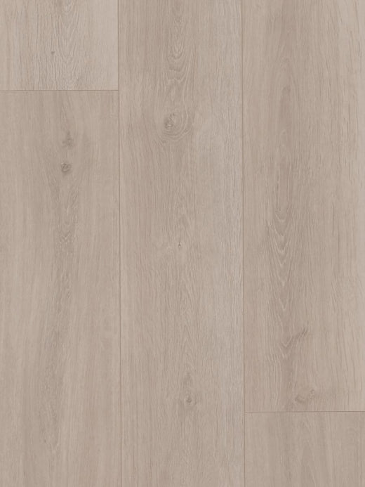 Bleached Oak 12mm Laminate Flooring (LH37)