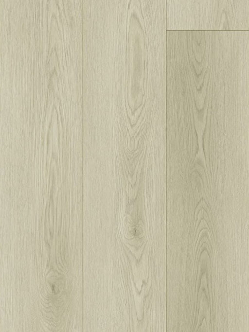 Port Oak 12mm Laminate Flooring (LH3) - National Floors