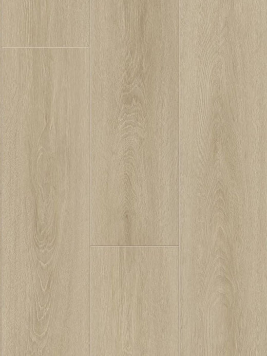 Sunset Oak 12mm Laminate Flooring (LH5)