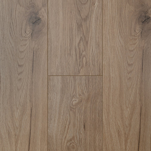 Lamb 12mm Laminate Flooring (LTM11)