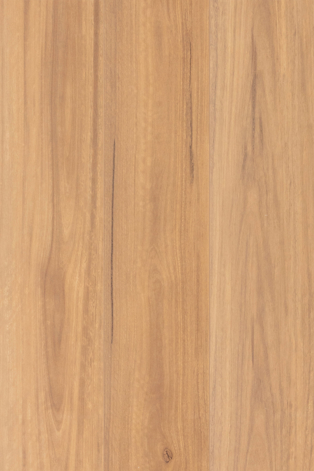 Drift Spotted Gum 12mm Laminate Flooring (LTM15)