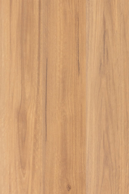 Drift Spotted Gum 12mm Laminate Flooring (LTM15)
