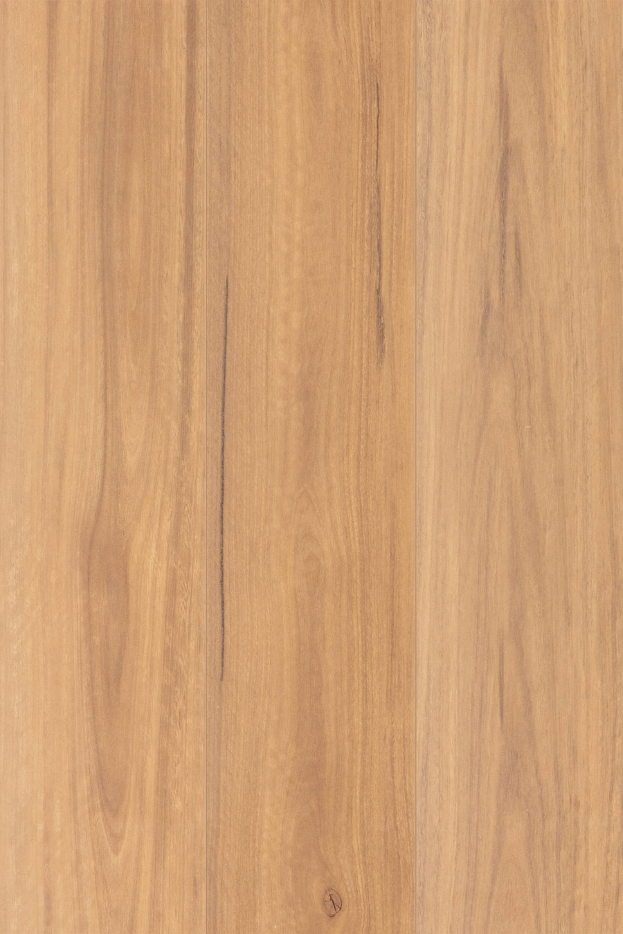 Drift Spotted Gum 12mm Laminate Flooring (LTM15)