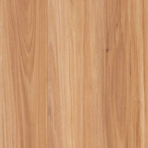 Shore Blackbutt 12mm Laminate Flooring (LTM1)