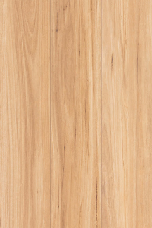Iron Blackbutt 12mm Laminate Flooring (LTM9)
