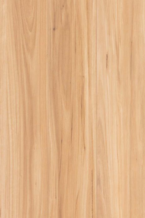 Iron Blackbutt 12mm Laminate Flooring (LTM9) - National Floors