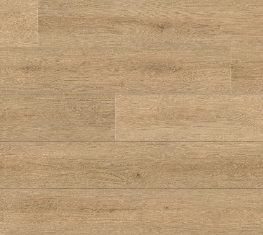 Grace 12mm Laminate Flooring (LTW4)
