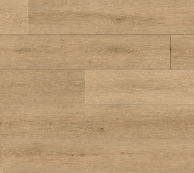 Grace 12mm Laminate Flooring (LTW4)