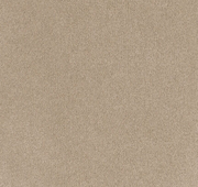 Montelle Cut Pile Twist Carpet (CEL6)