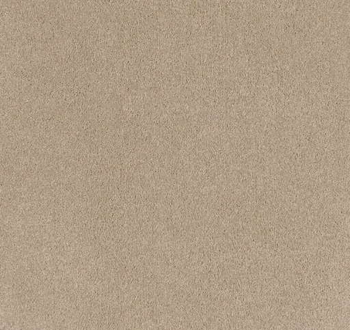 Montelle Cut Pile Twist Carpet (CEL6) - National Floors