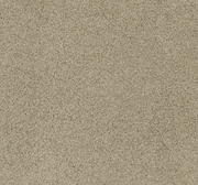 Lattesse Cut Pile Twist Carpet (CGL5)