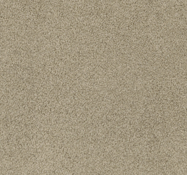 Lattesse Cut Pile Twist Carpet (CGL5)