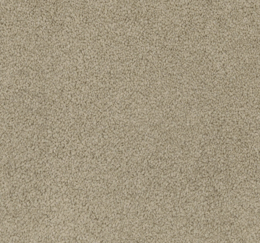 Lattesse Cut Pile Twist Carpet (CGL5)