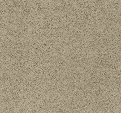 Lattesse Cut Pile Twist Carpet (CGL5) - National Floors