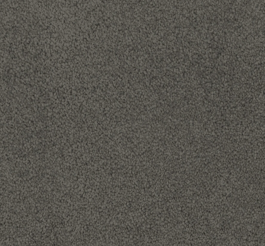 Slate Aura Cut Pile Twist Carpet (CGL6)