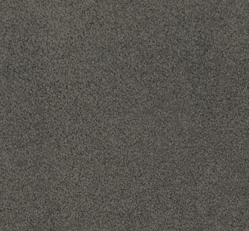 Slate Aura Cut Pile Twist Carpet (CGL6) - National Floors