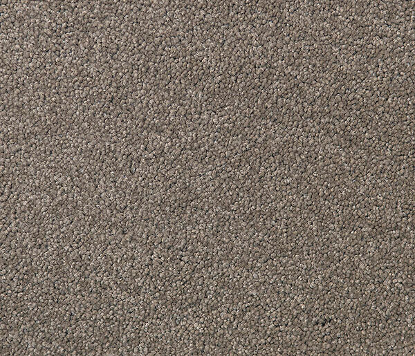 Loftaire Twist Pile Carpet (CQM5)