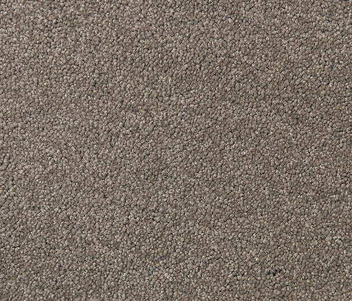 Loftaire Twist Pile Carpet (CQM5) - National Floors