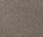 Loftaire Twist Pile Carpet (CQM5) - National Floors