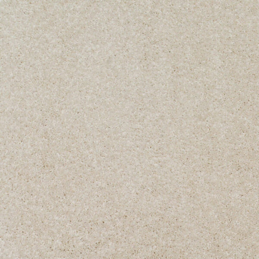 Lunaris Twist Pile Carpet (CQE2) - National Floors
