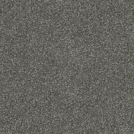 Lunastone Cut Pile Twist Carpet (CGS8) - National Floors