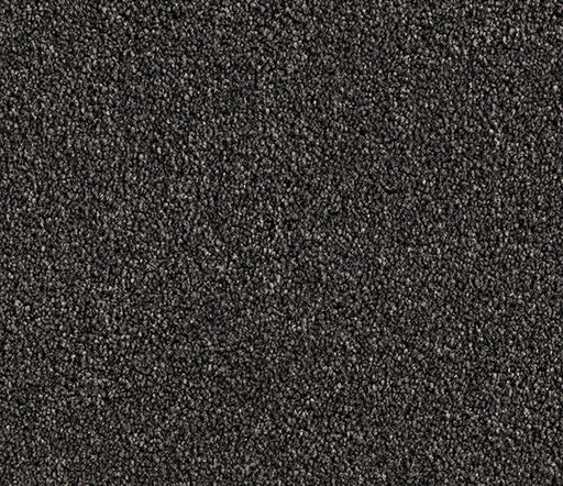 Marbrell Twist Pile Carpet (CQM6) - National Floors