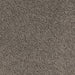 Marivette Twist Pile Carpet (CQE7) - National Floors