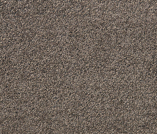 Mavren Twist Pile Carpet (CQM8)