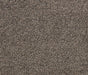 Mavren Twist Pile Carpet (CQM8) - National Floors