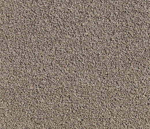 Mazyre Twist Pile Carpet (CQM7)