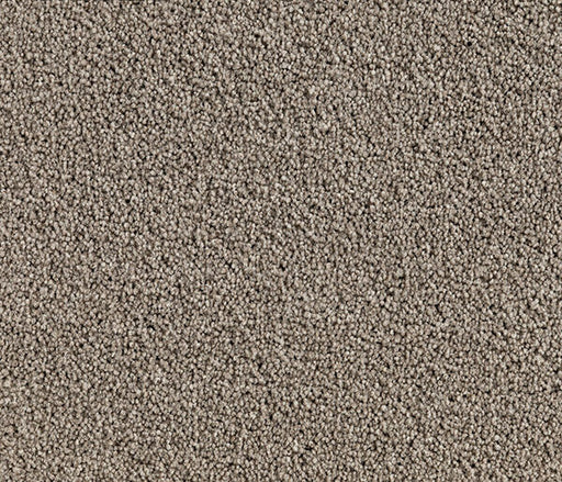 Mazyre Twist Pile Carpet (CQM7) - National Floors