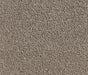 Mazyre Twist Pile Carpet (CQM7) - National Floors